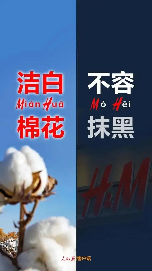 潔白棉花，不容抹黑