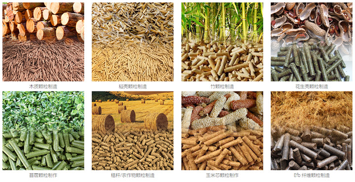 木屑顆粒機可以使用這些原料來制造生物質(zhì)顆粒.jpg